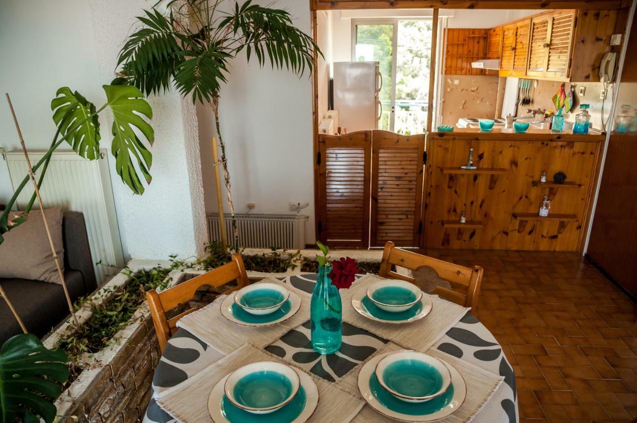 Paradise View Apartment PalaiónTsiflíkion Eksteriør billede
